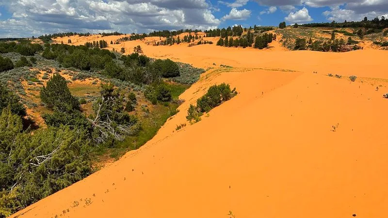 Coral Pink Sand Dunes, Utah