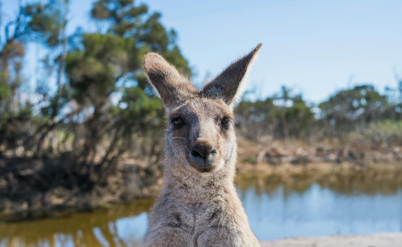 Australia – Laid-back Vibes and Outdoor Adventure