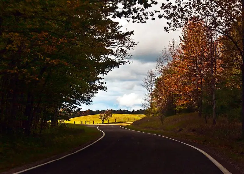Enchanting Autumn Colors