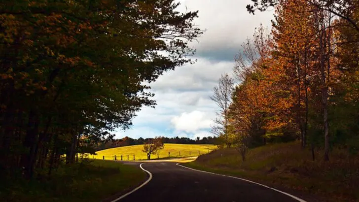 Michigan’s Tunnel of Trees Road Is One of the Most Picturesque Drives in the Midwest
