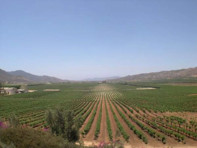 Valle de Guadalupe, Baja California