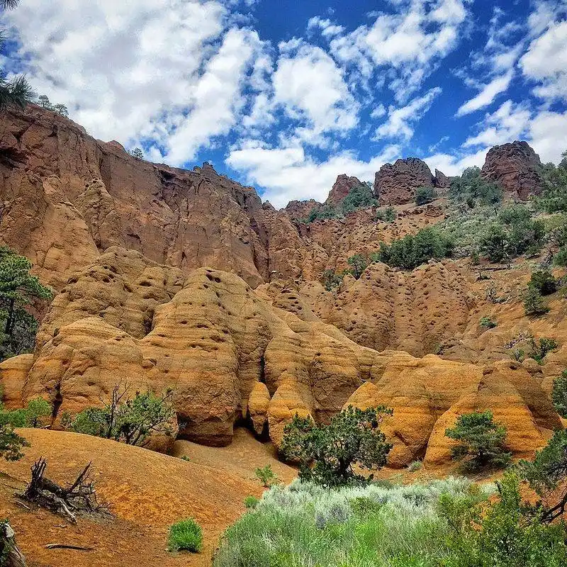 Red Mountain Trail