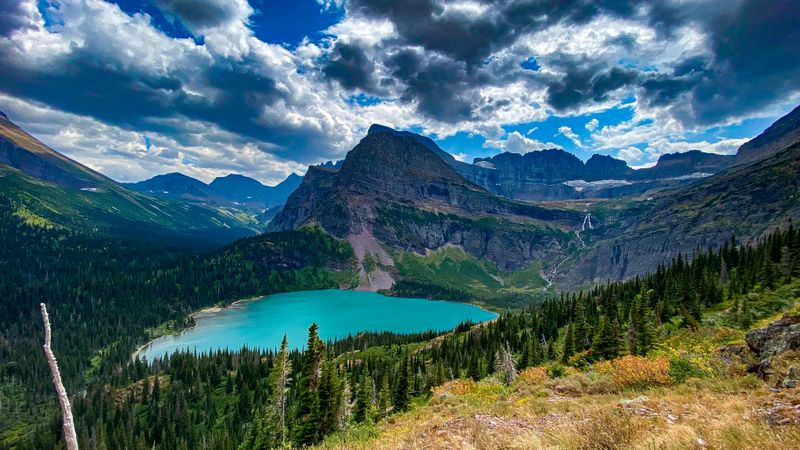 Montana