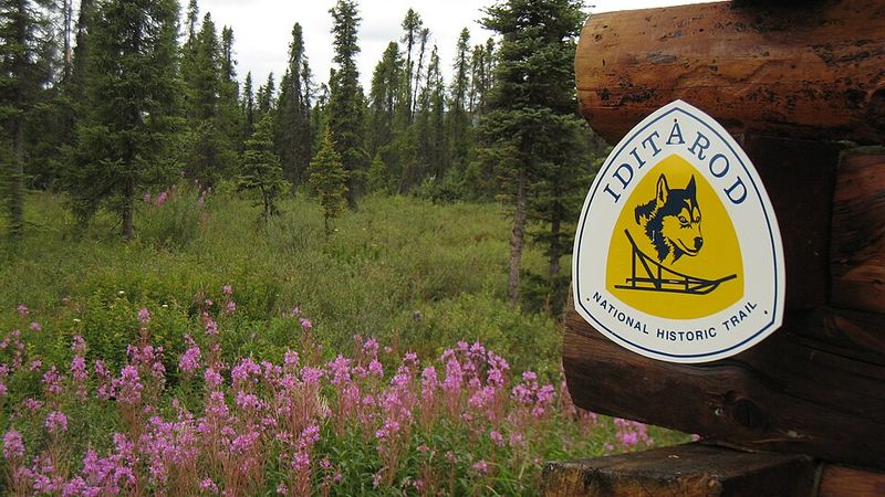 The Iditarod Trail