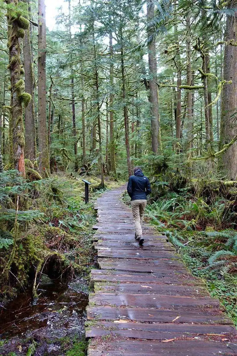 Rain Forest Loop Walks