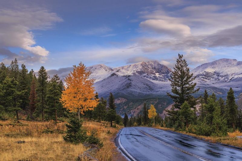 National Parks and Scenic Trips