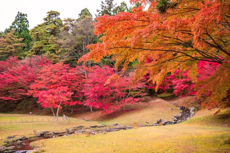 Hiraizumi