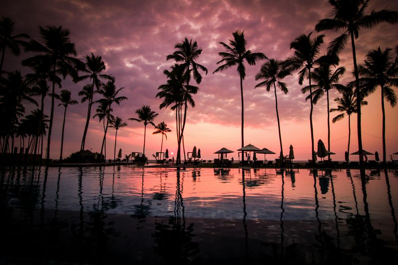Hawaiian Vacations with Luaus