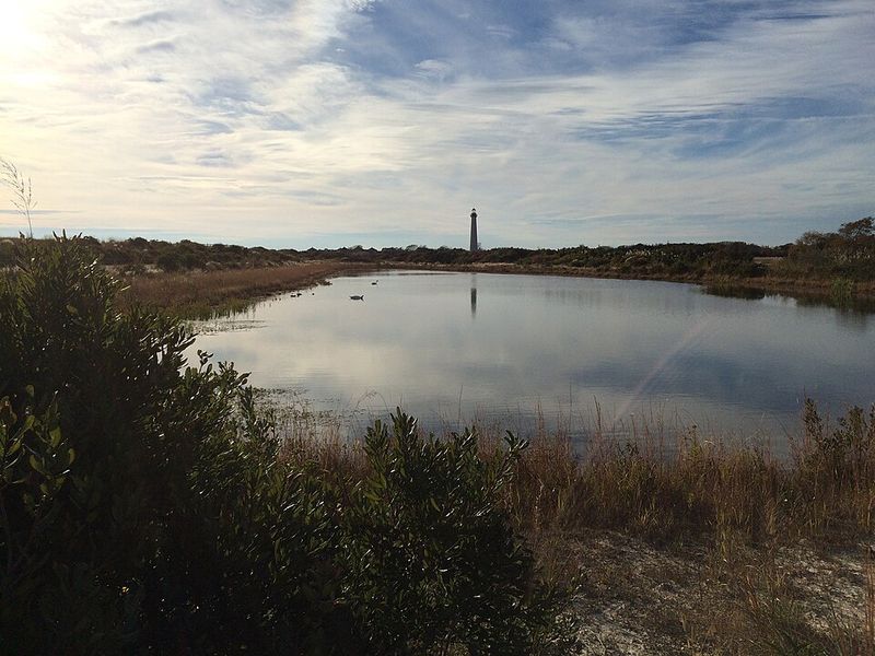 New Jersey – Cape May Point State Park