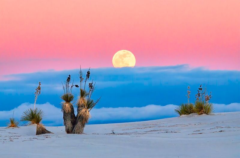 New Mexico
