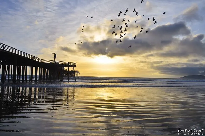 Pismo Beach Pier (Pismo Beach, CA)