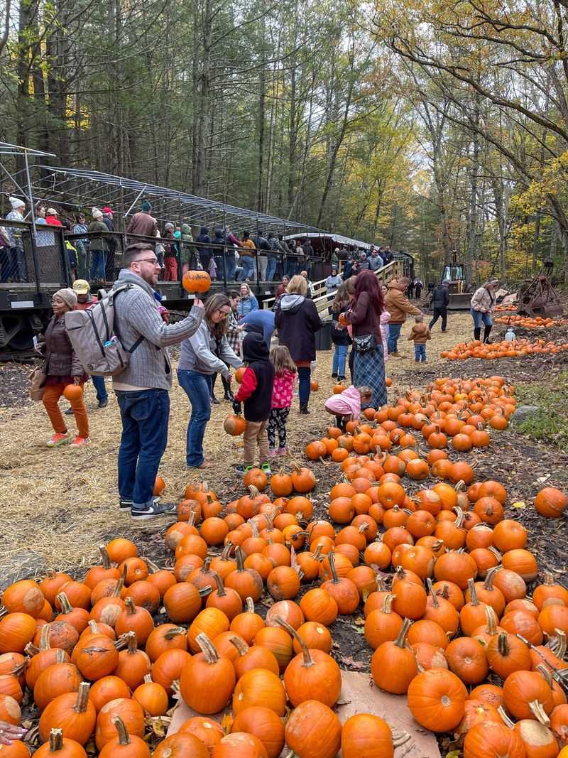 Kingston (Catskill Mountain) Railroad — Kingston, New York (Pumpkin Express)