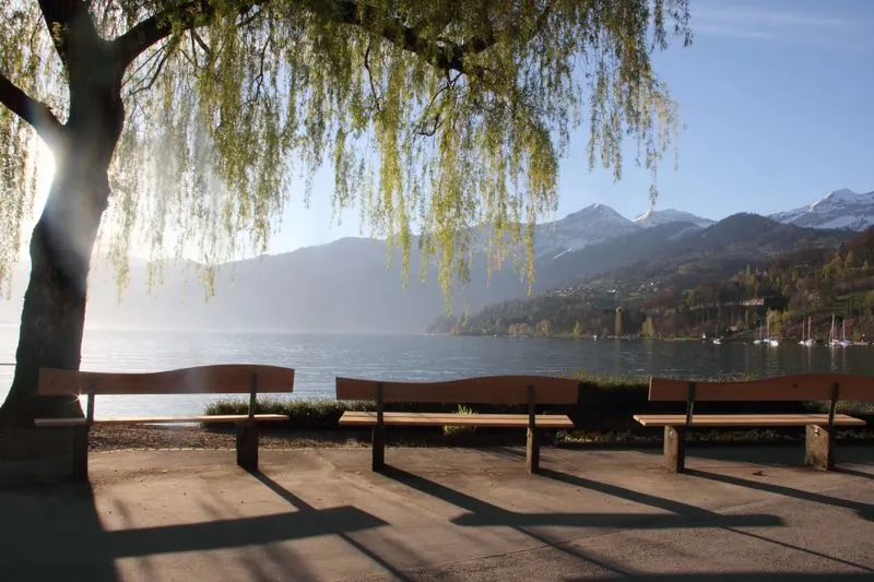 Lakeside Promenade, Small Beaches, and Marina Life