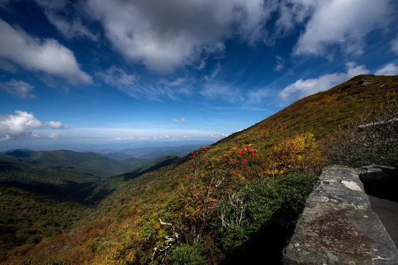 Craggy Gardens