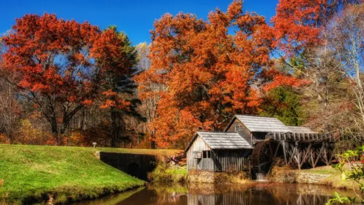 North Carolina’s Blue Ridge Parkway Is One of the Most Iconic Drives in America