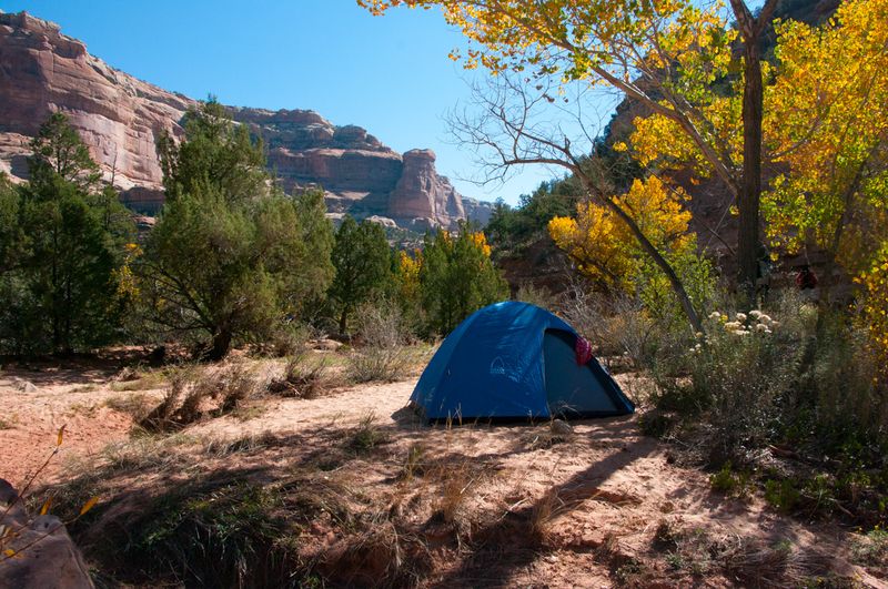 Illegal Camping Practices