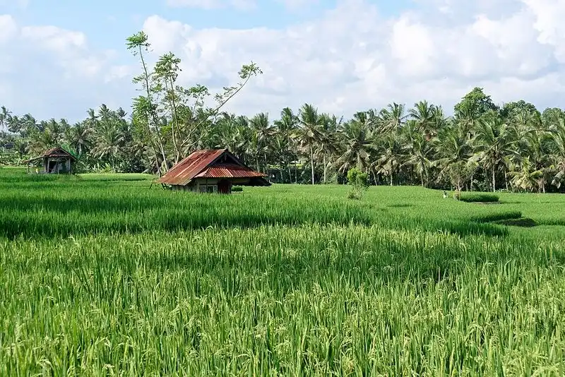 Ubud, Bali
