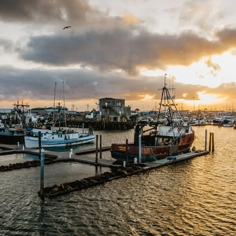 Westport and Grays Harbor