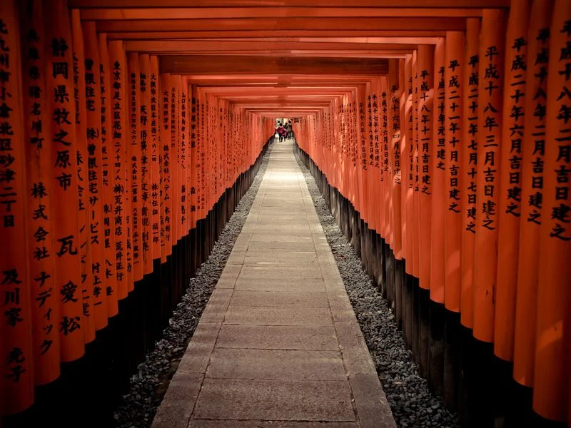 Walking Paths Respectfully