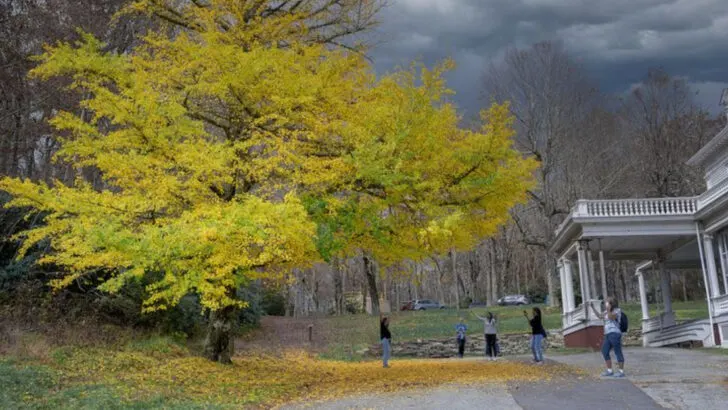 One Of The Most Walkable Mountain Towns In North Carolina With Incredible Views