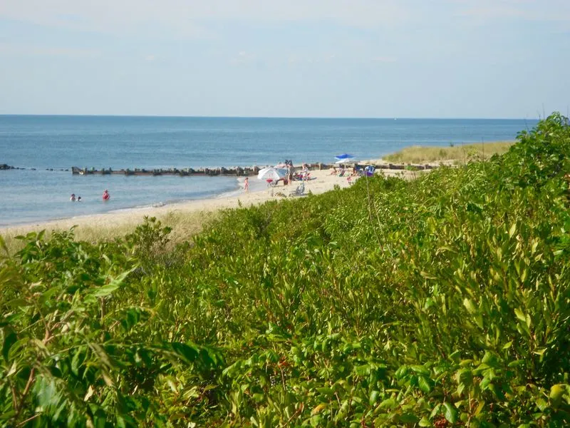 Cape May Beach