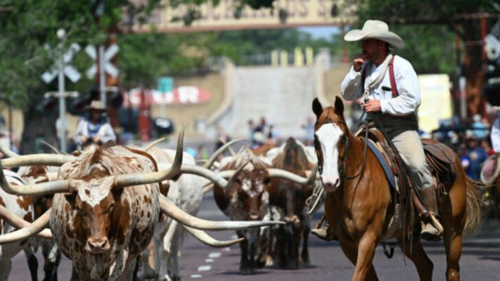 Out-of-Towners Admit the Things They Got Totally Wrong in Texas