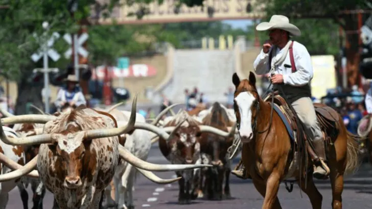 Out-of-Towners Admit the Things They Got Totally Wrong in Texas