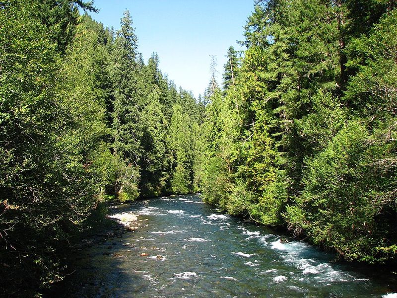 The River’s Cultural and Historical Significance