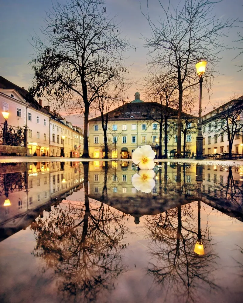 Ljubljana in Winter