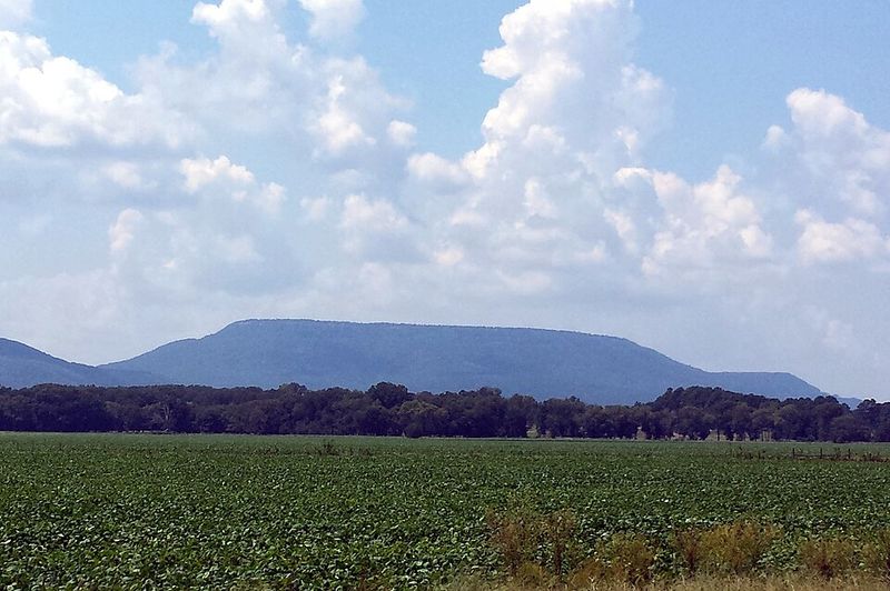 Dardanelle