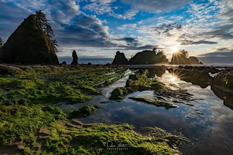 Shi Shi Beach & Point of Arches