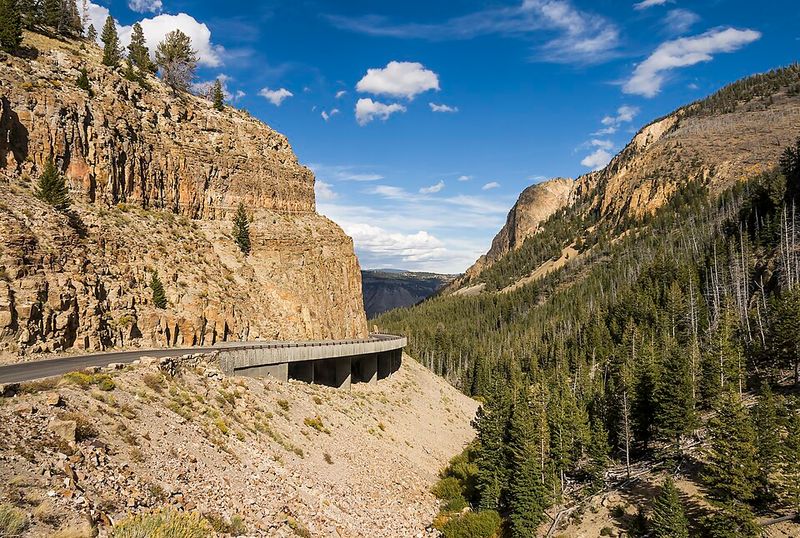 Yellowstone + Grand Teton Circuit (Wyoming / Montana)