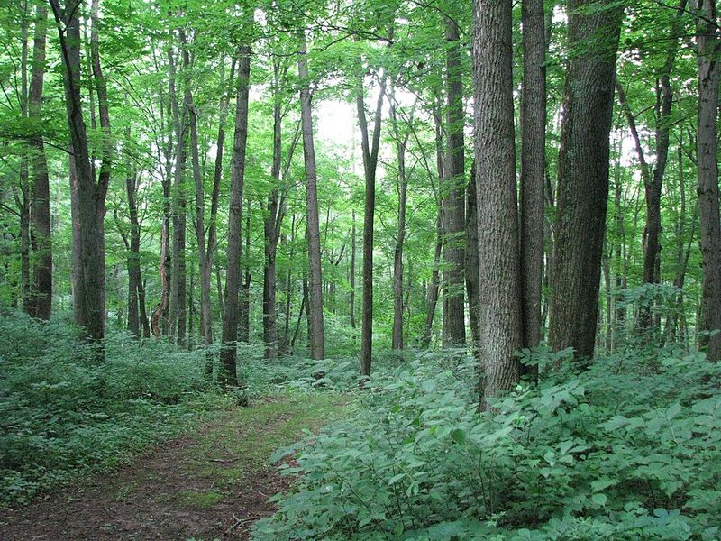 Warriors’ Path State Park