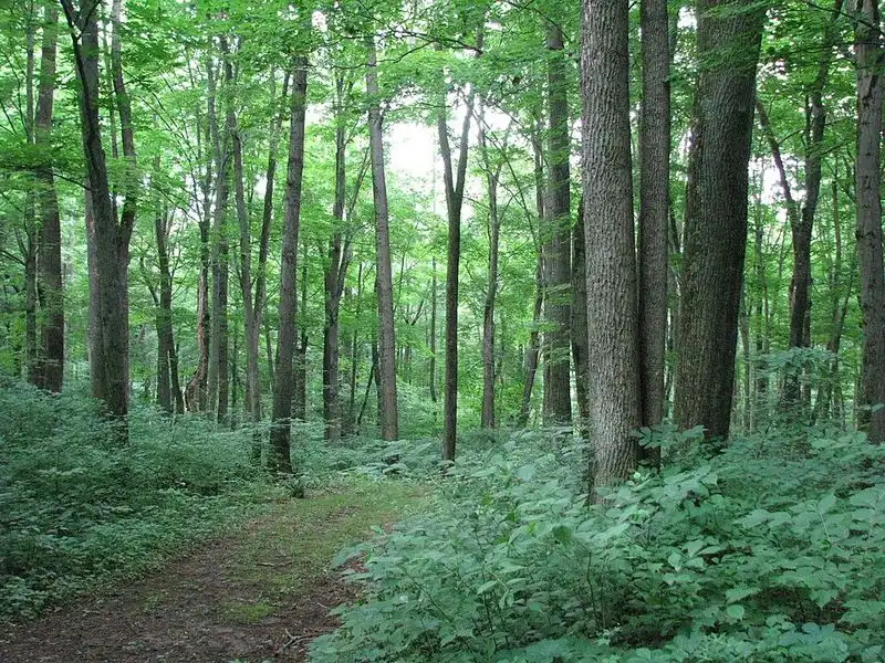 Warriors’ Path State Park