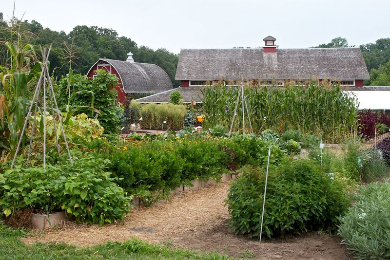 Seed Savers Exchange