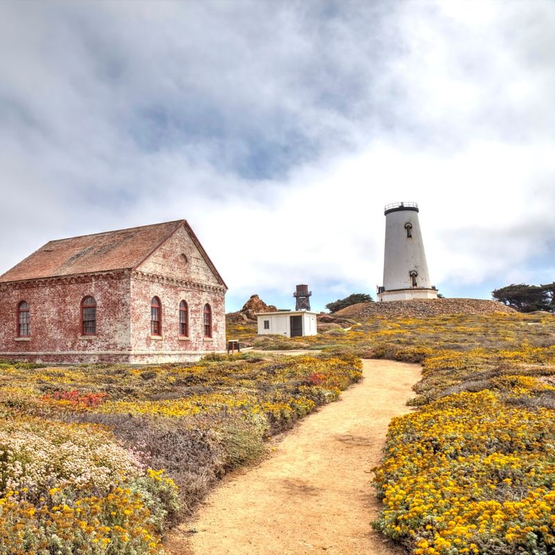 San Simeon & Piedras Blancas — Castles and Seals