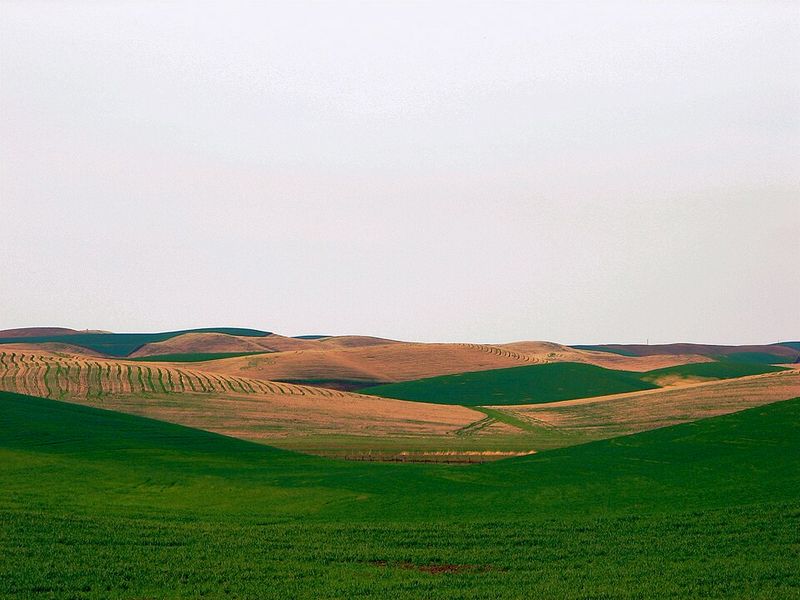 Walla Walla