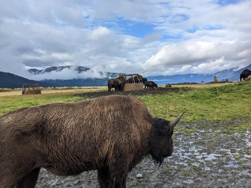 Respect Wildlife Boundaries
