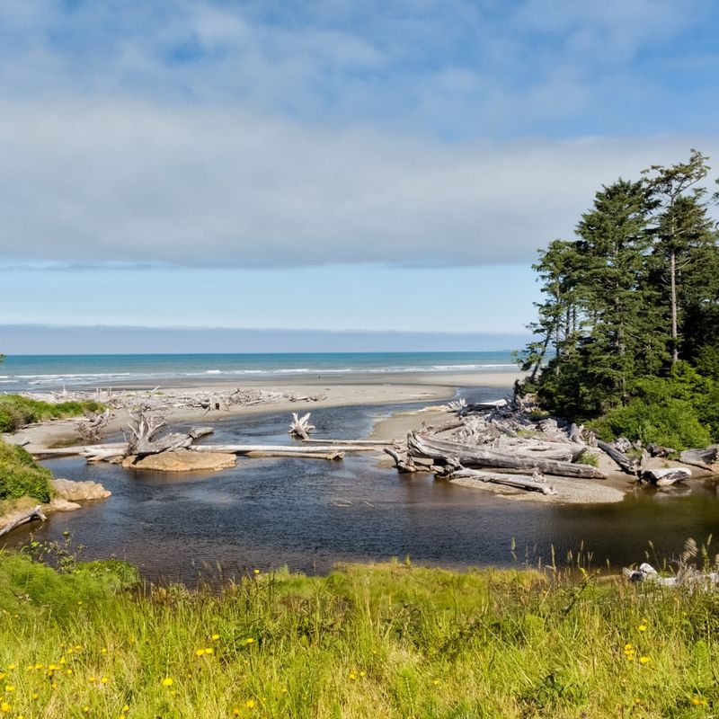 Kalaloch