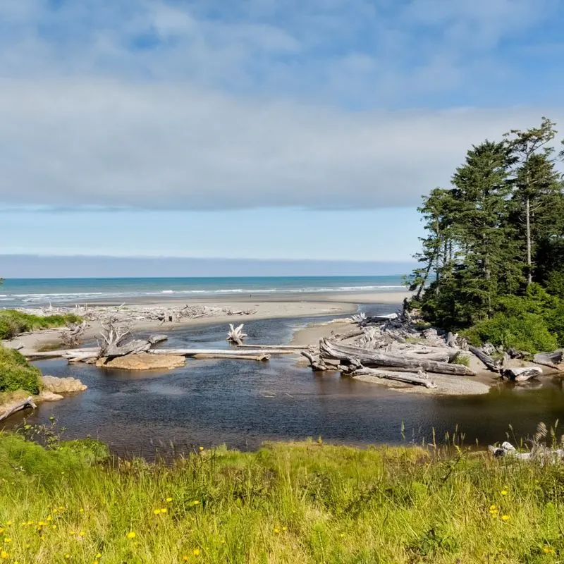 Kalaloch