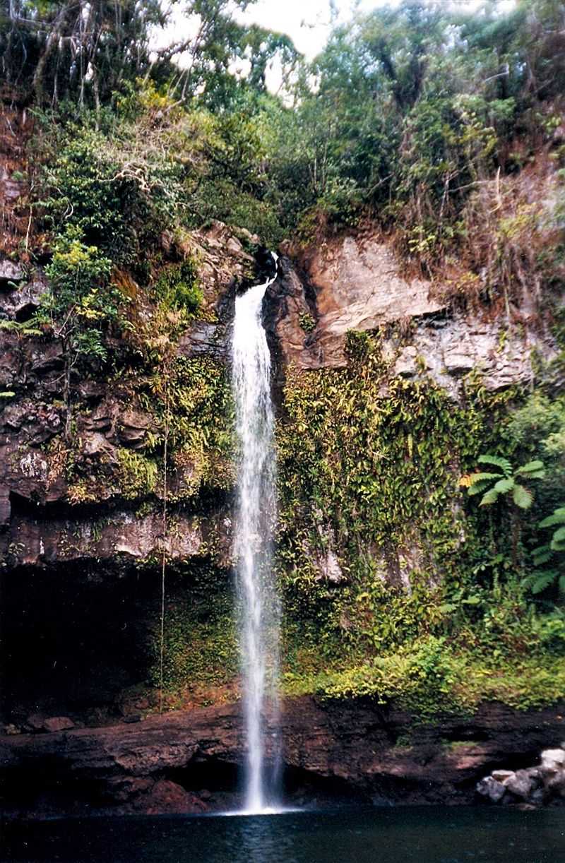 Bouma coast (Taveuni), Fiji — rainforest-backed beaches and reefs