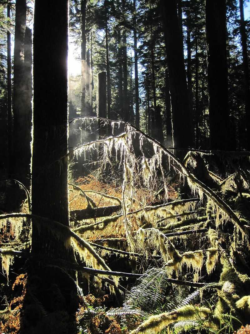Quiet Streams and Side Trails