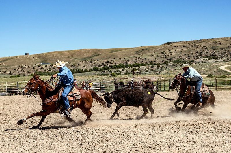 Ranch Life, Rodeo Threads, and Community Rhythms