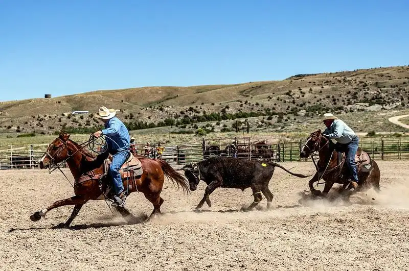 Ranch Life, Rodeo Threads, and Community Rhythms