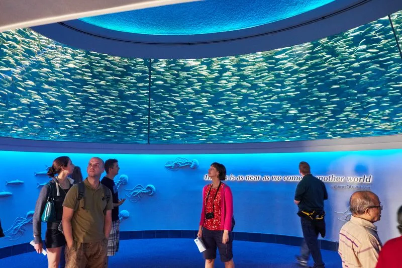 Monterey Bay Aquarium, California