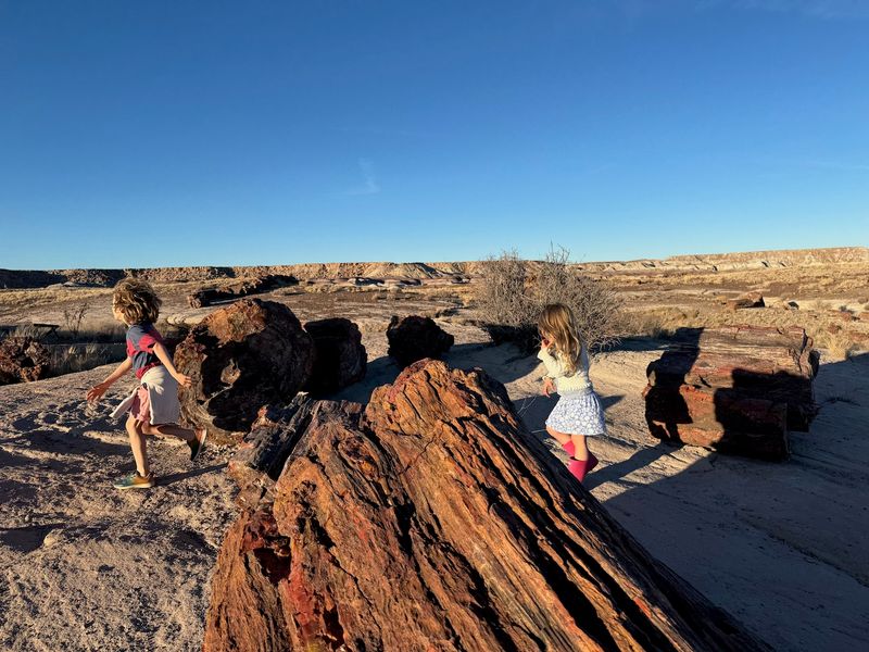 Skipping Local Attractions