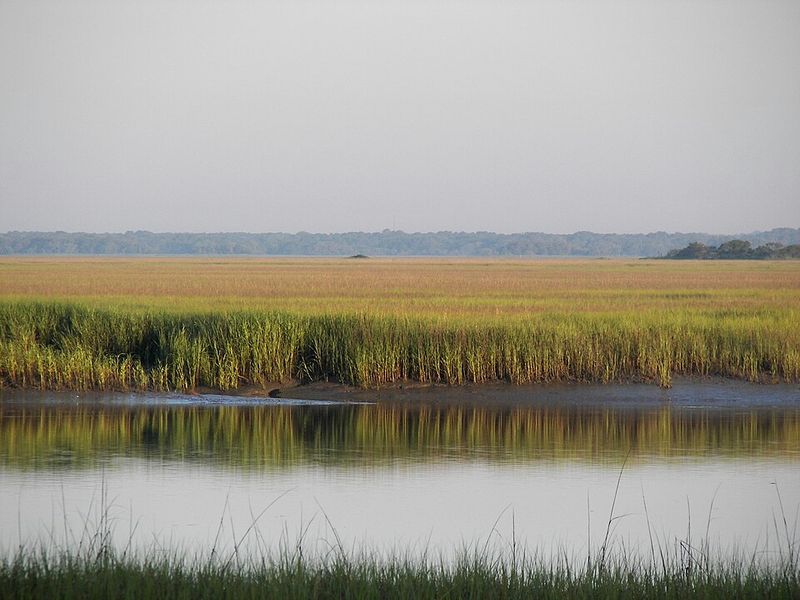 South Carolina – Hunting Island State Park