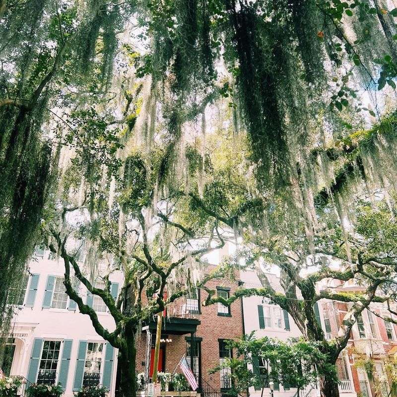 Street-Level Sensory Details