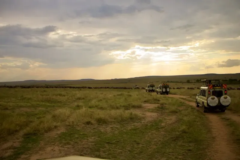 Safari Adventure in Kenya