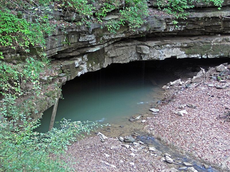 Mysterious Echo River